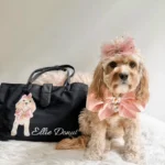 DOO YOUR OWN- DualRoute photo review