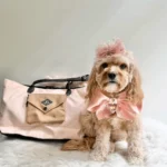 DOO YOUR OWN- DualRoute photo review