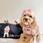 DOO YOUR OWN- DualRoute photo review